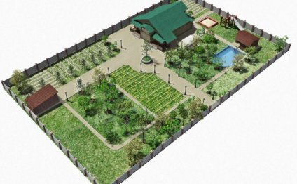 Diesin Of A 6-Strong Plot With His Hands